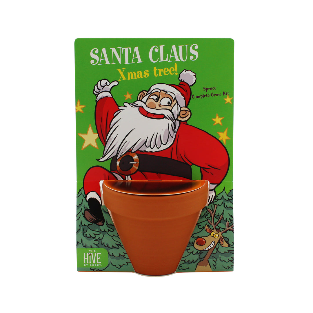 Holiday Santa Terracotta Grow Kit | Spruce 4 pack, Mini Evergreen Trees
