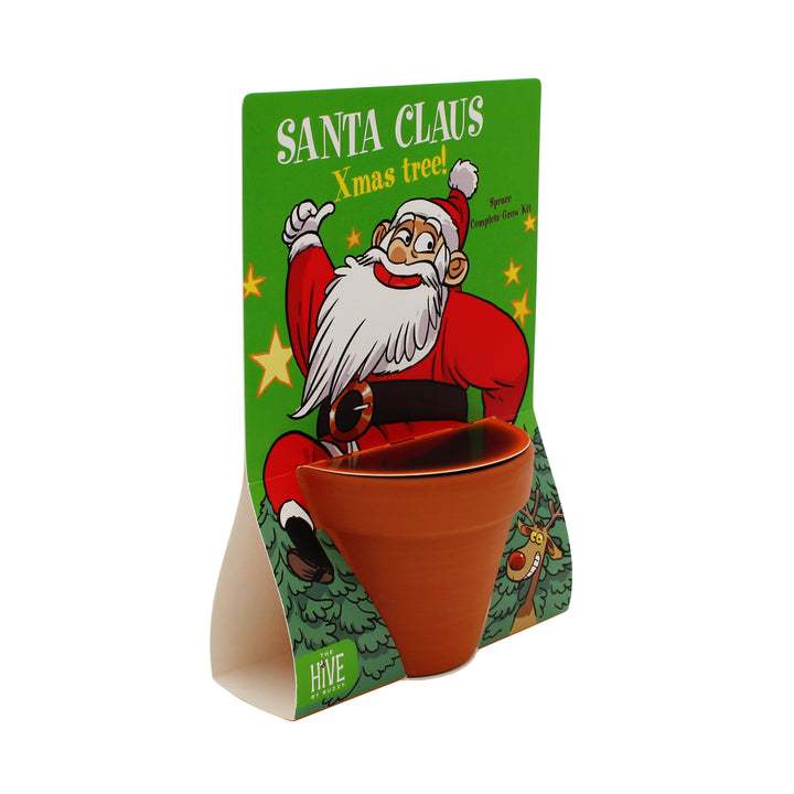 Holiday Santa Terracotta Grow Kit | Spruce 4 pack, Mini Evergreen Trees