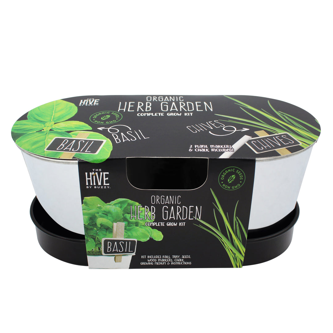 Organic Herb Garden Grow Kit | 2-Pot on Tray Organic Italian Basil & Organic Chives