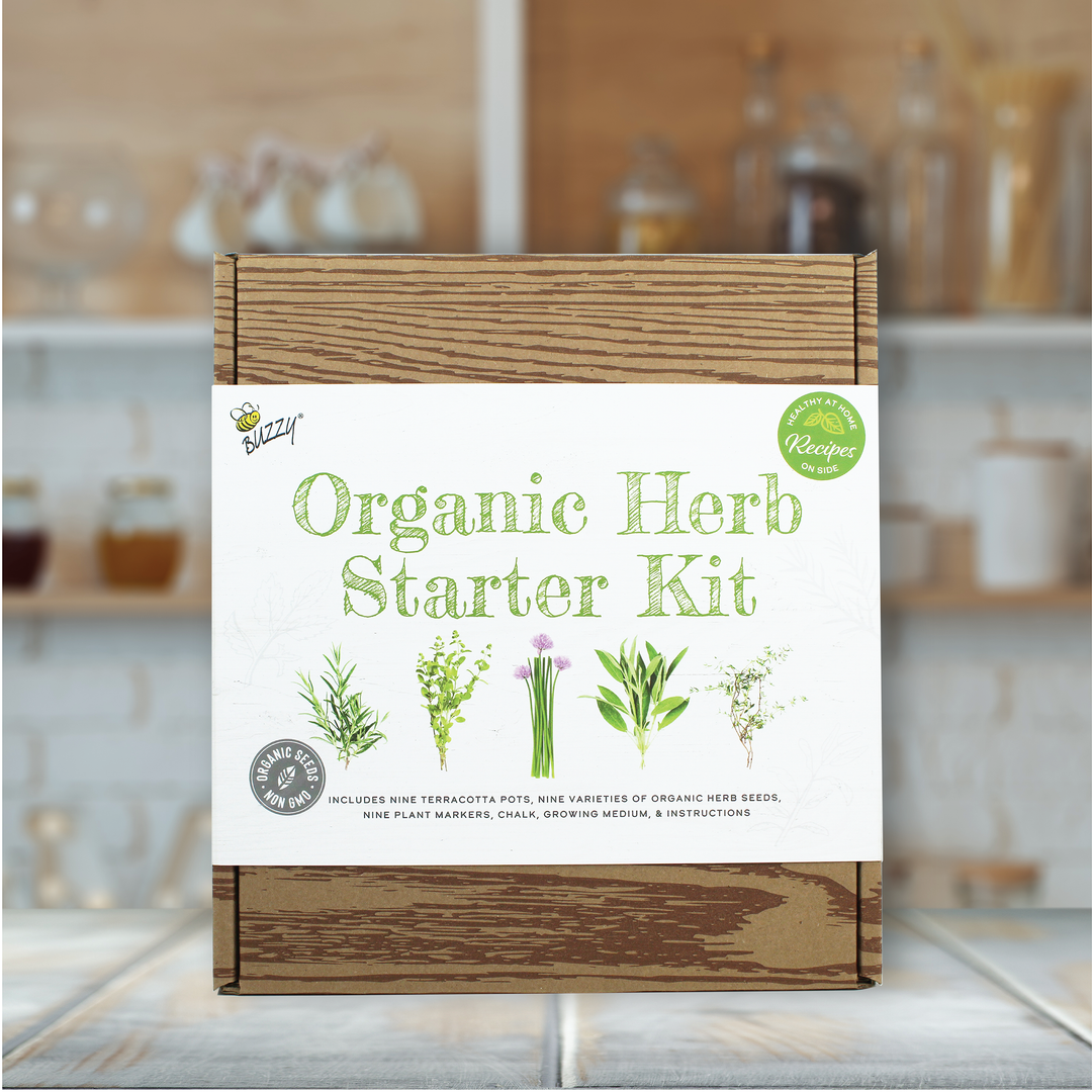 Organic Herb Starter | 9-Pot Terracotta Kit with Seeds & Markers – Indoor Gardening Gift for Home Cooks & Herb Lovers