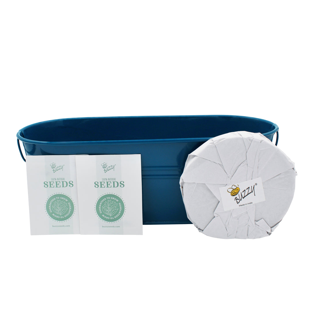 My First Garden Windowsill Grow Kit | Tomato & Marigold | Blue