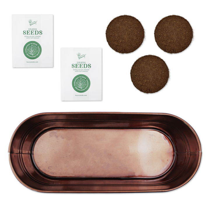 Festive Herb Grow Kit – Rosemary & Thyme for Indoor Windowsill Gardening