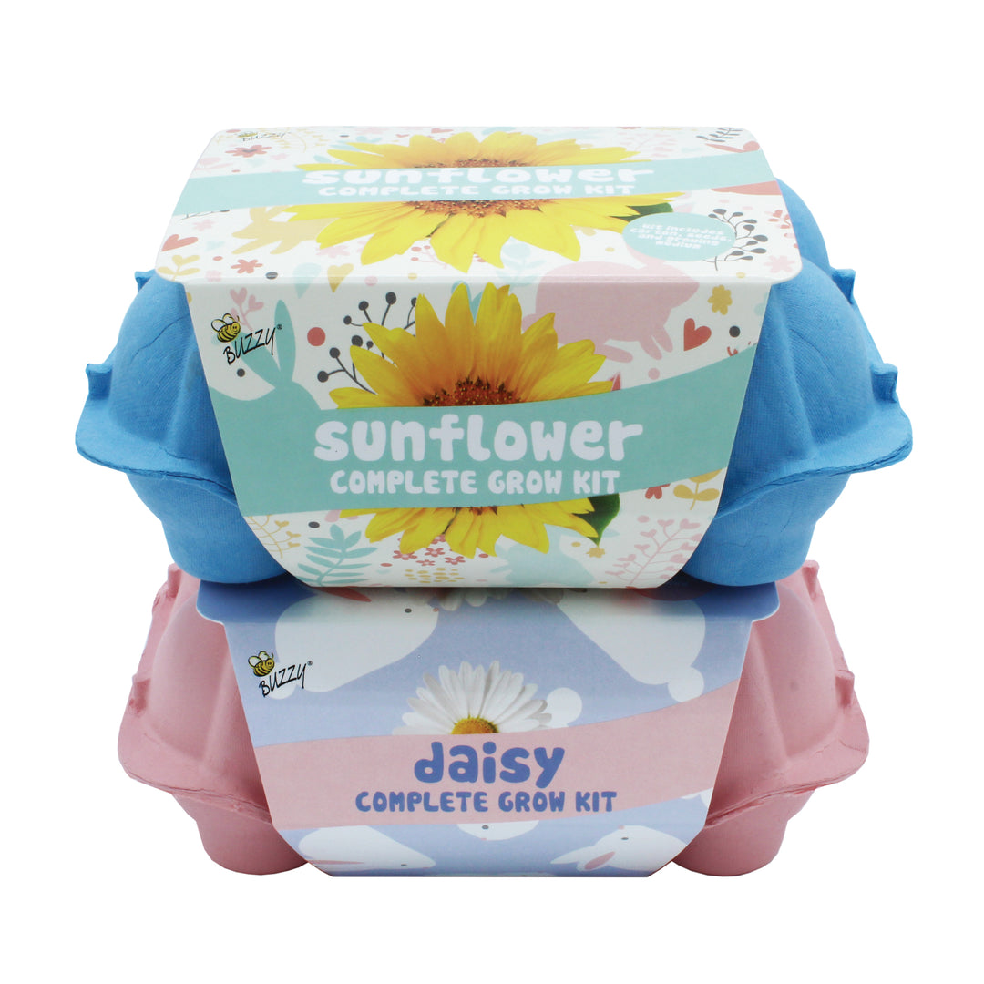 Grow Kit with Sunflower Seeds & Daisy Seeds in Colorful Eco-friendly Egg Cartons | 2 Pack