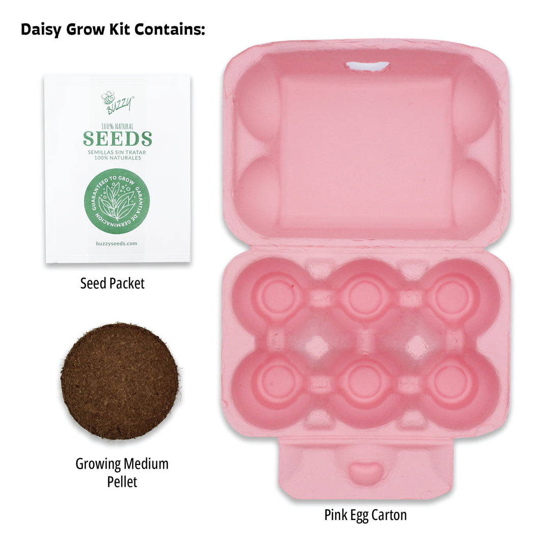 Grow Kit with Sunflower Seeds & Daisy Seeds in Colorful Eco-friendly Egg Cartons | 2 Pack