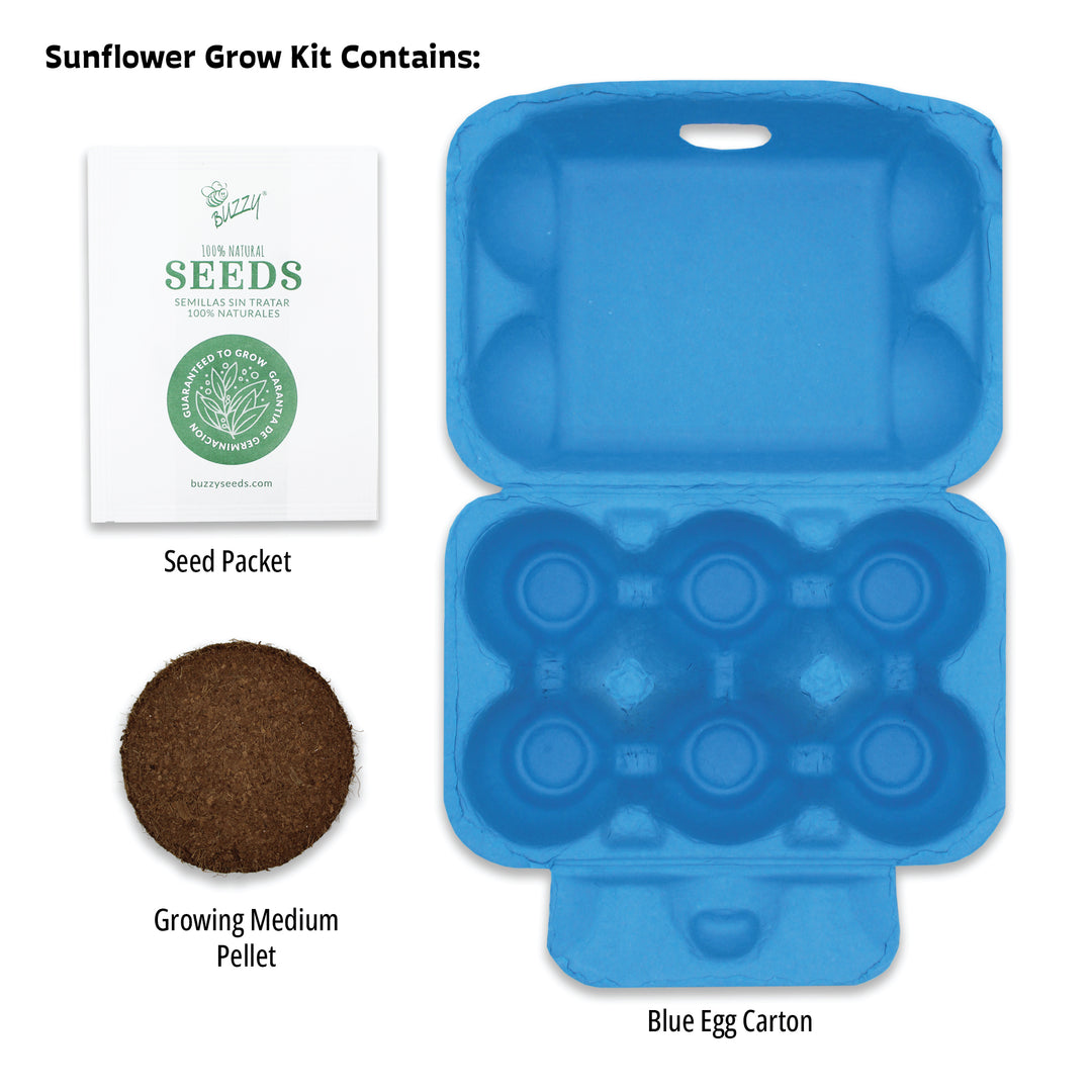 Grow Kit with Sunflower Seeds & Daisy Seeds in Colorful Eco-friendly Egg Cartons | 2 Pack