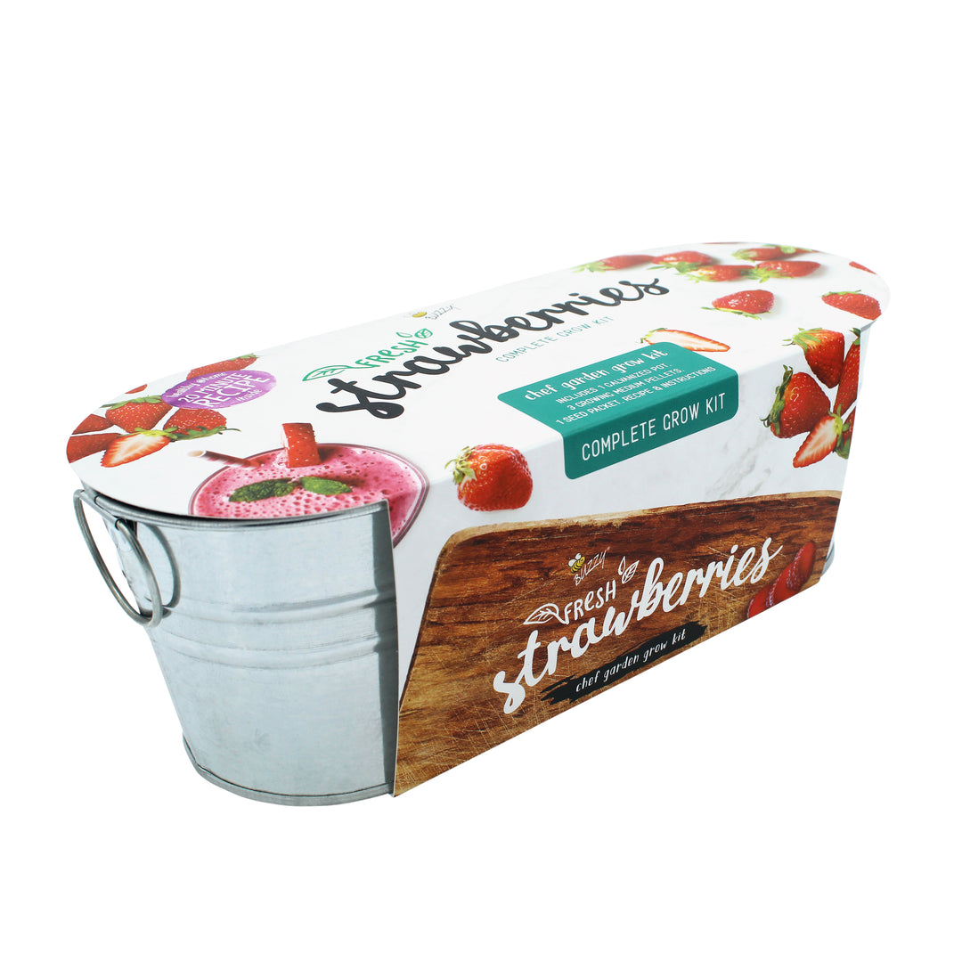 Kitchen Herbs & Strawberry Windowsill Grow Kit | 2-pack