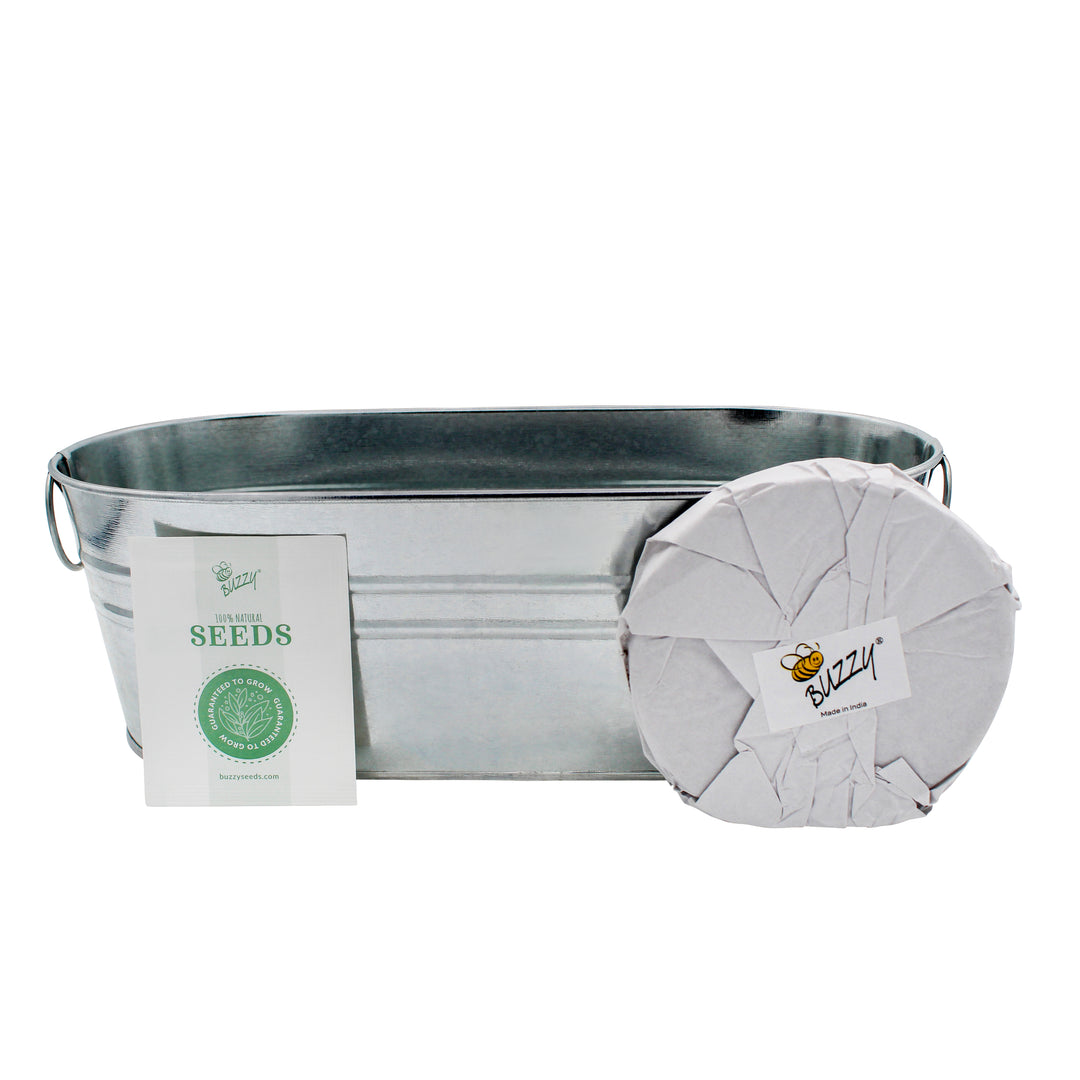 Kitchen Herbs & Strawberry Windowsill Grow Kit | 2-pack