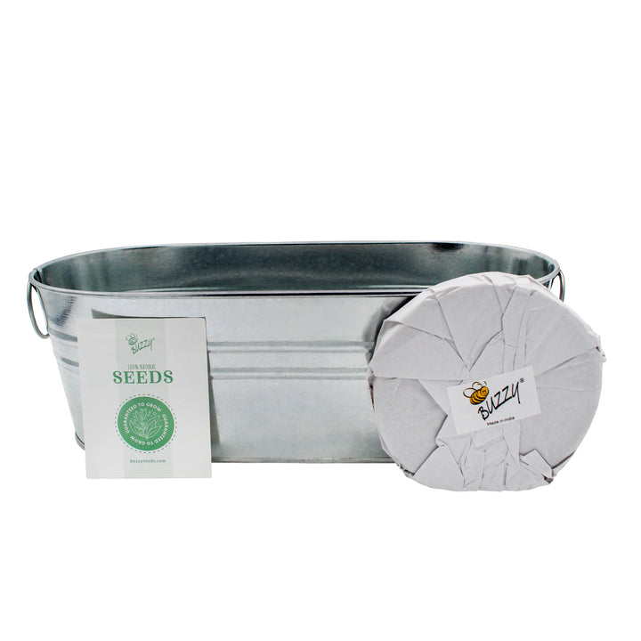 Kitchen Herbs & Strawberry Windowsill Grow Kit | 2-pack