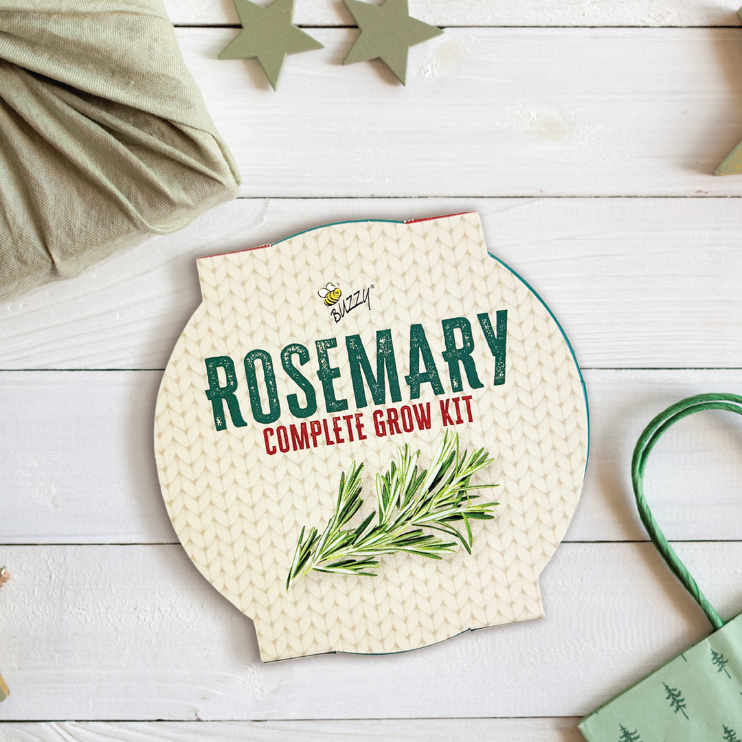 Rosemary Houseplant Grow Pail Kit