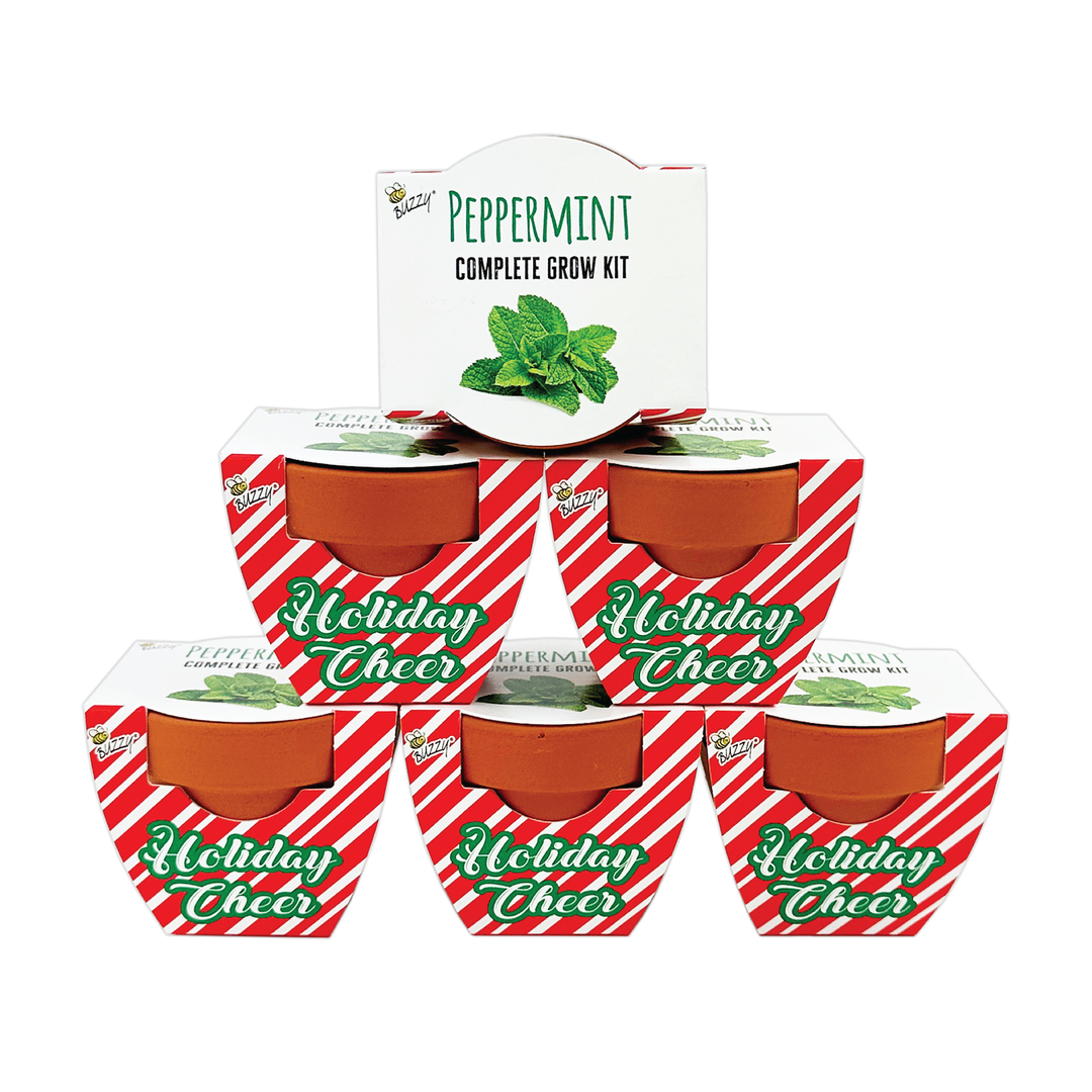 Holiday Peppermint Grow Kit | Mini Terracotta Pots 6-Pack | Fun Christmas Gardening Gift