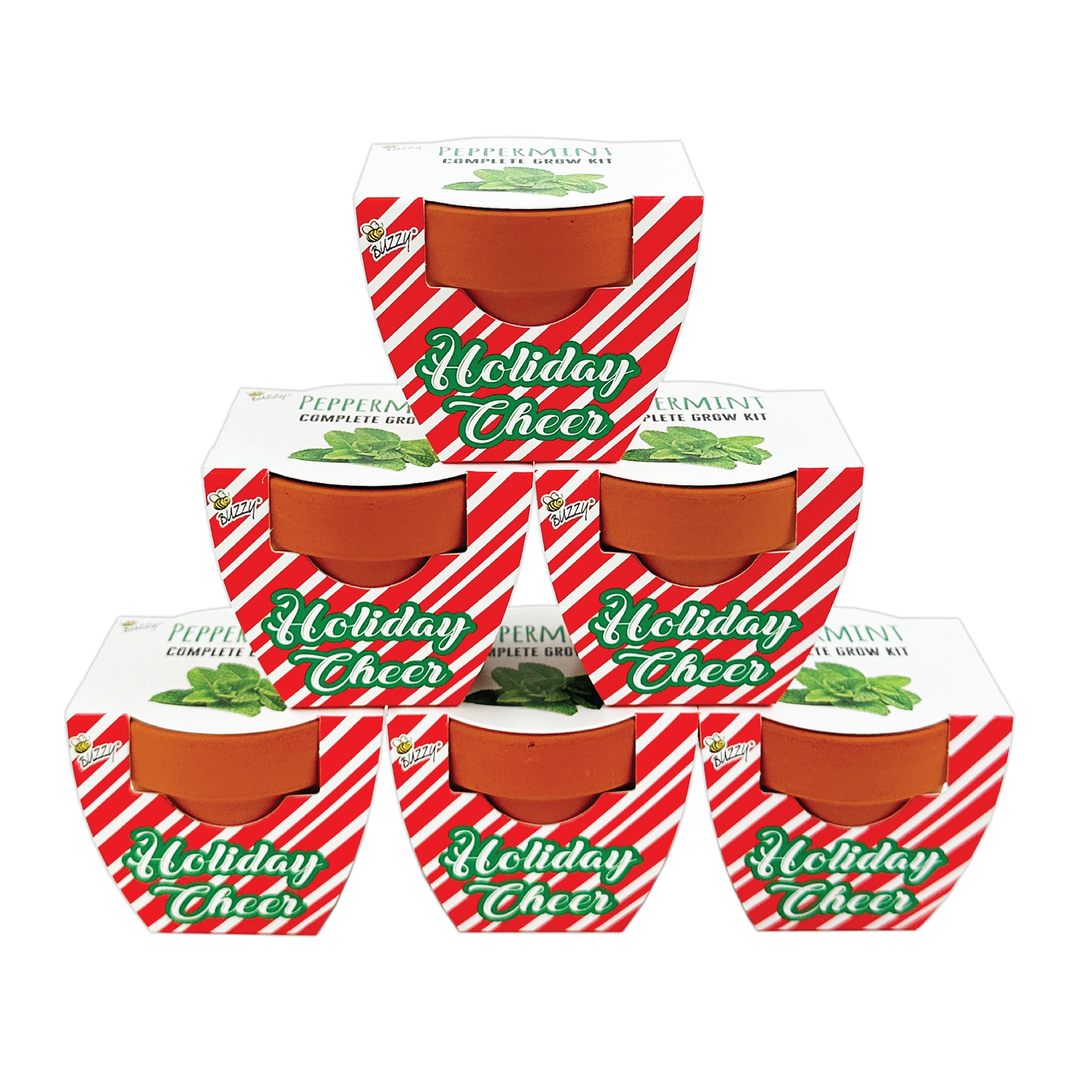 Holiday Peppermint Grow Kit | Mini Terracotta Pots 6-Pack | Fun Christmas Gardening Gift