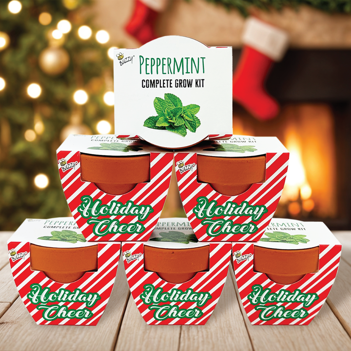Holiday Peppermint Grow Kit | Mini Terracotta Pots 6-Pack | Fun Christmas Gardening Gift