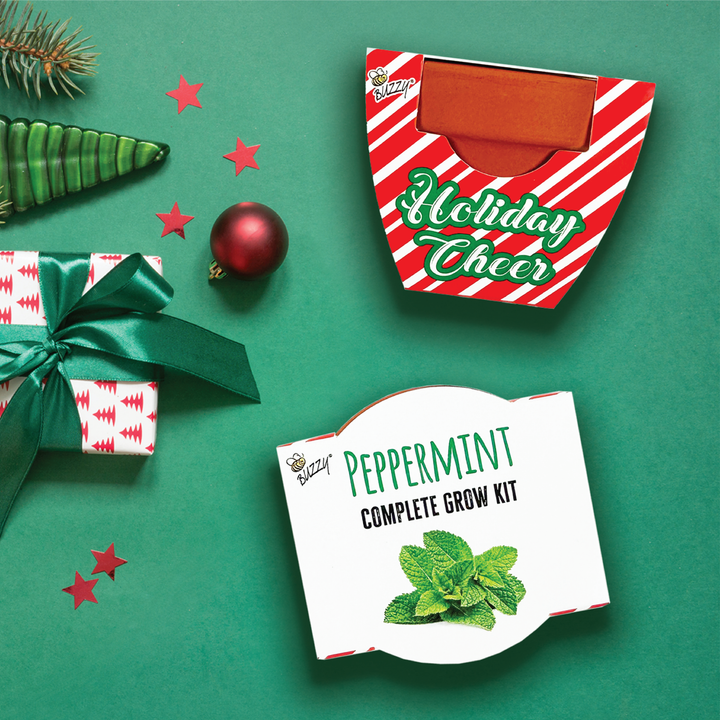 Holiday Peppermint Grow Kit | Mini Terracotta Pots 6-Pack | Fun Christmas Gardening Gift