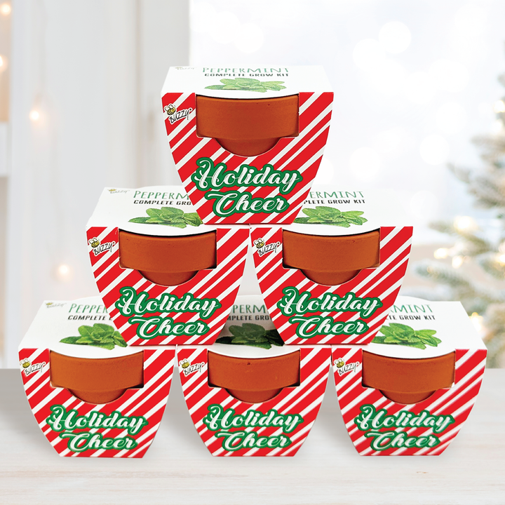 Holiday Peppermint Grow Kit | Mini Terracotta Pots 6-Pack | Fun Christmas Gardening Gift