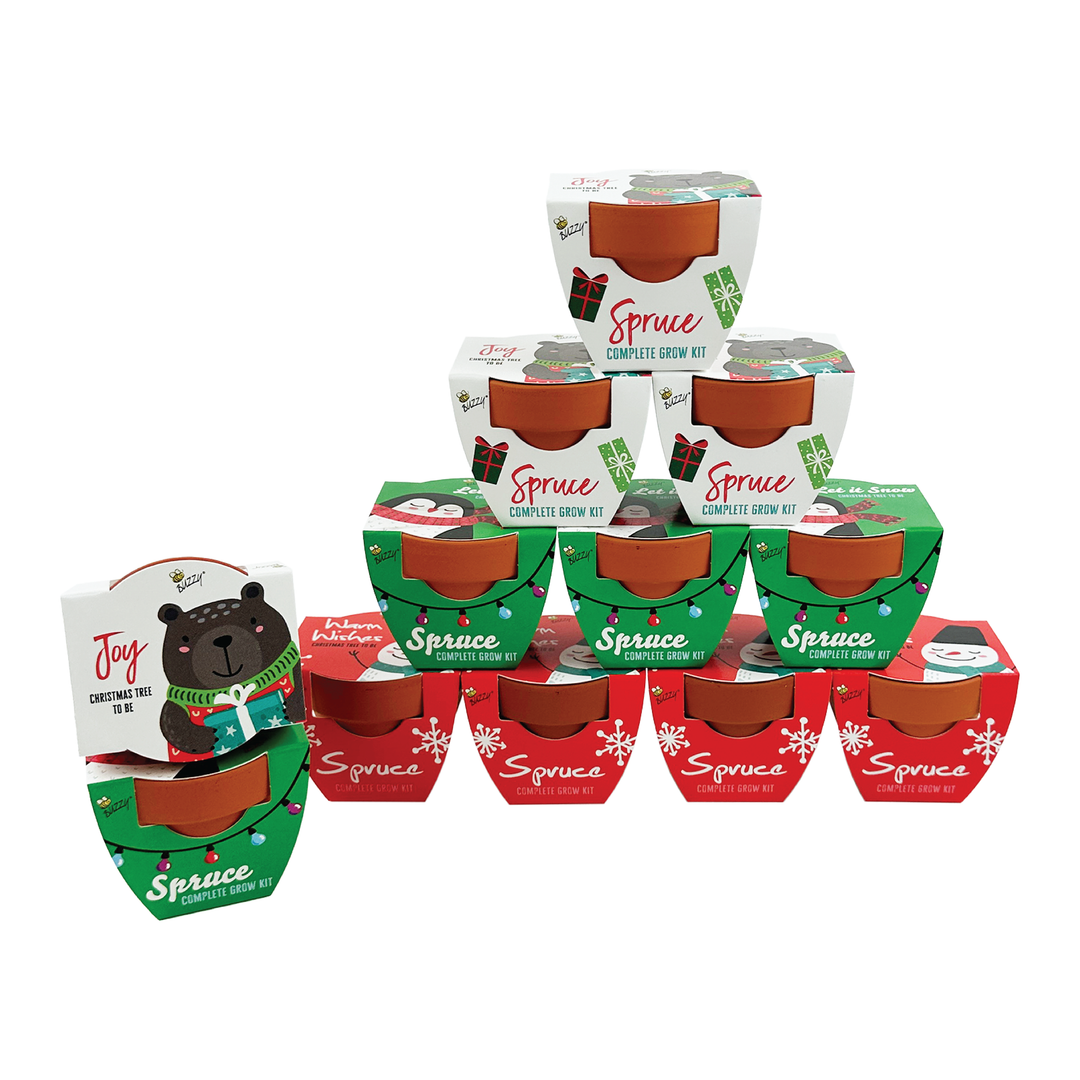 Festive Friends Mini Terracotta Grow Pots | Spruce 12-pack