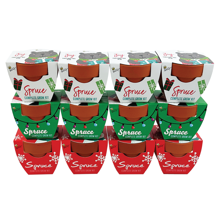 Festive Friends Mini Terracotta Grow Pots | Spruce 12-pack
