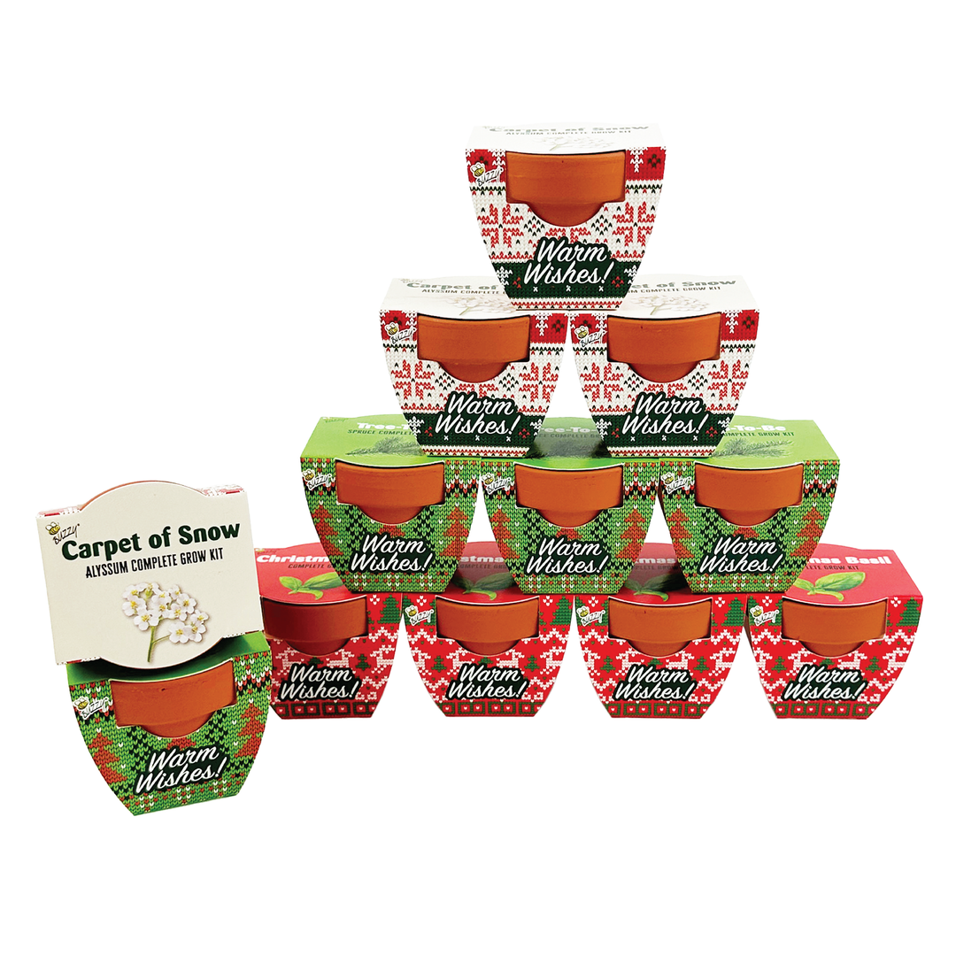 Holiday Sweater Mini Terracotta Grow Pots | Assorted 12-pack
