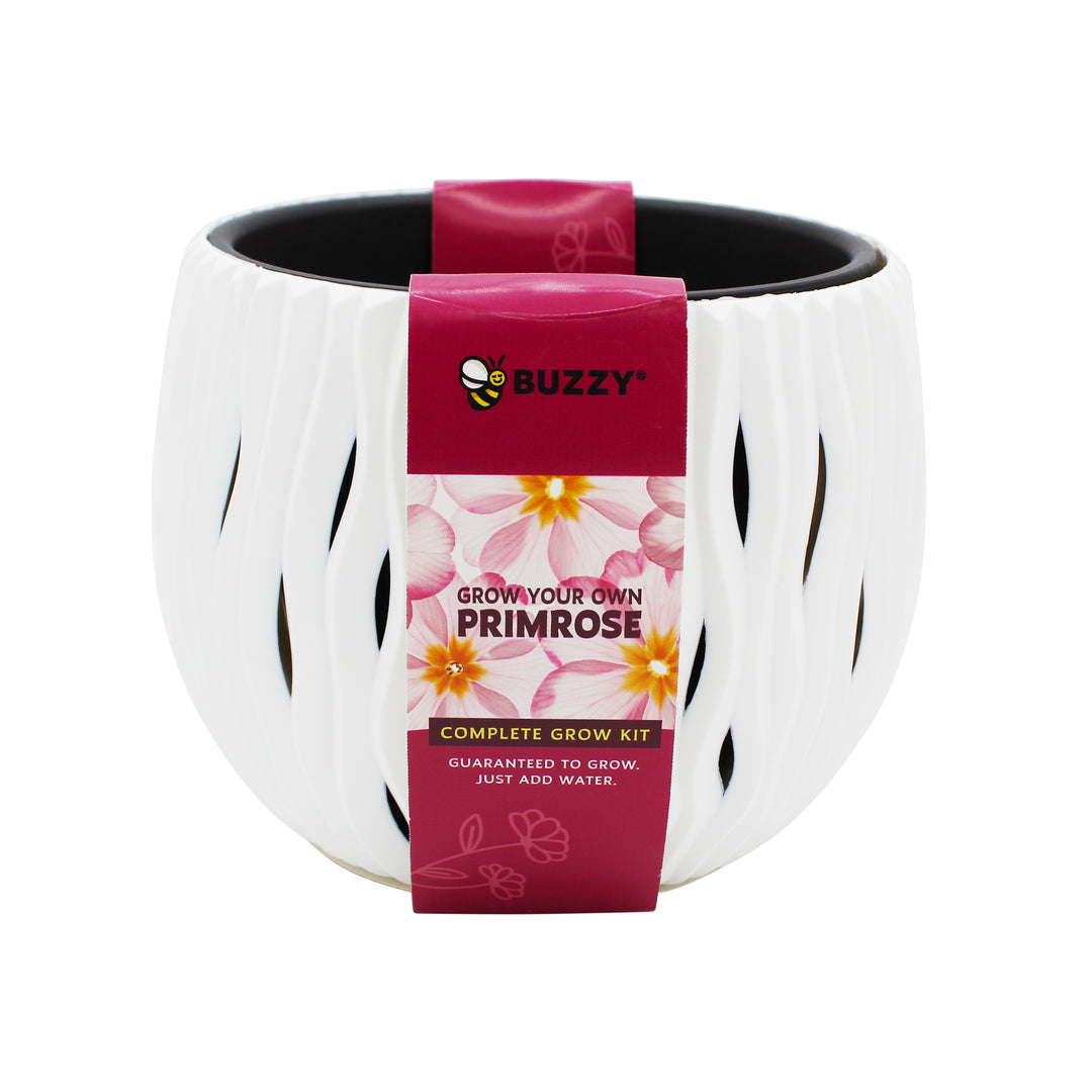 Primrose Flower Grow Kit | Indoor Seed Starter with Decorative White Wavy Pot