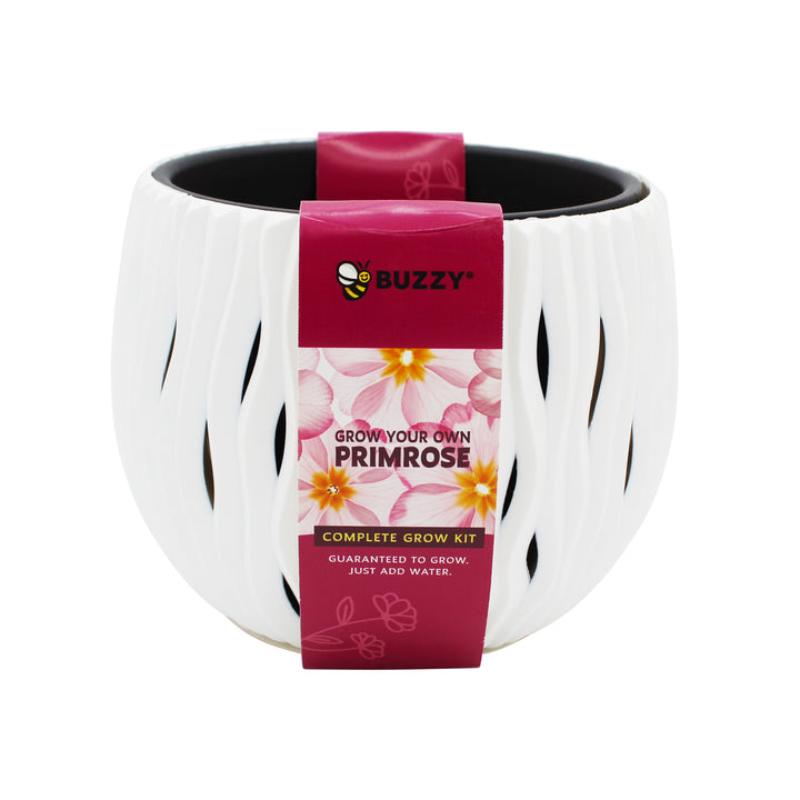 Primrose Flower Grow Kit | Indoor Seed Starter with Decorative White Wavy Pot