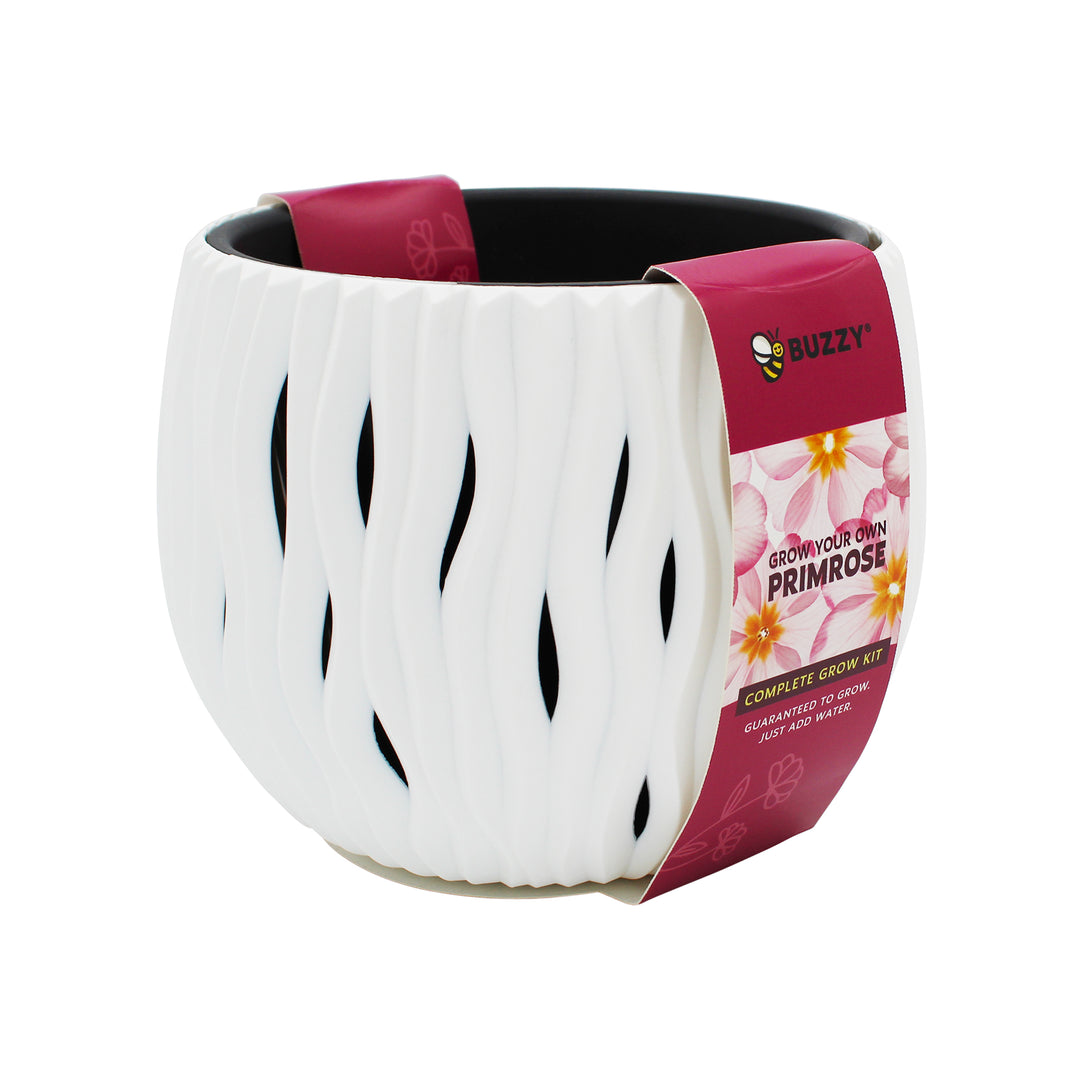 Primrose Flower Grow Kit | Indoor Seed Starter with Decorative White Wavy Pot