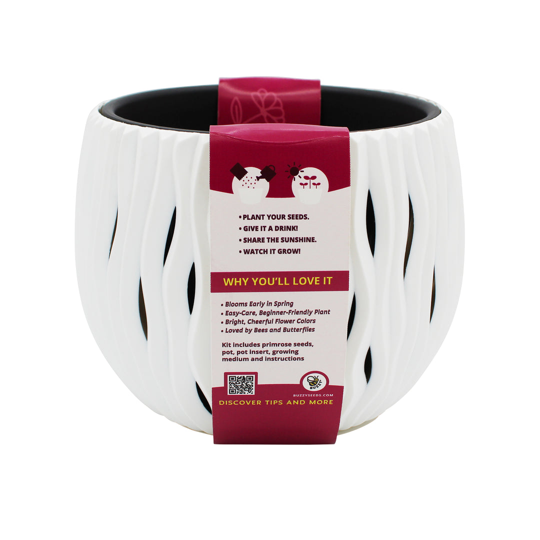 Primrose Flower Grow Kit | Indoor Seed Starter with Decorative White Wavy Pot