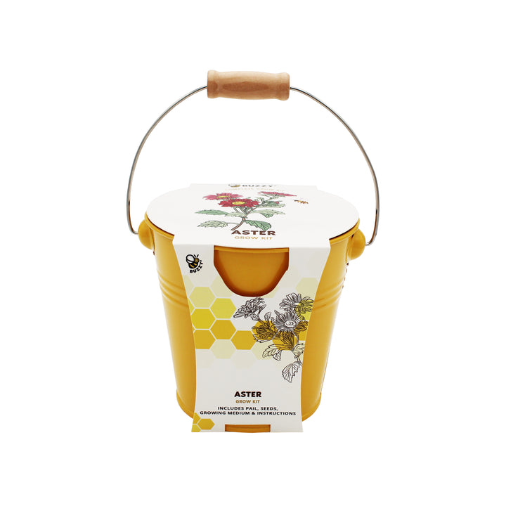 Pollinator Grow Kit | 2-Pack with Aster & Sunflower Seeds and Yellow Pails