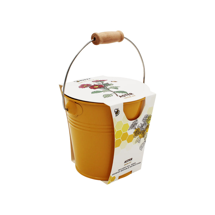 Pollinator Grow Kit | 2-Pack with Aster & Sunflower Seeds and Yellow Pails