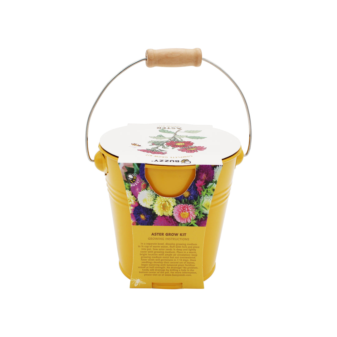 Pollinator Grow Kit | 2-Pack with Aster & Sunflower Seeds and Yellow Pails