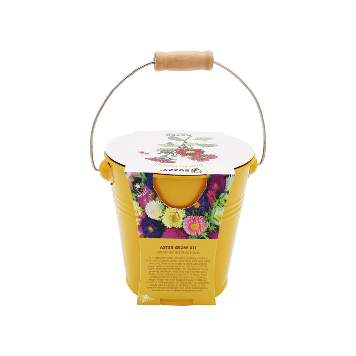 Pollinator Grow Kit | 2-Pack with Aster & Sunflower Seeds and Yellow Pails