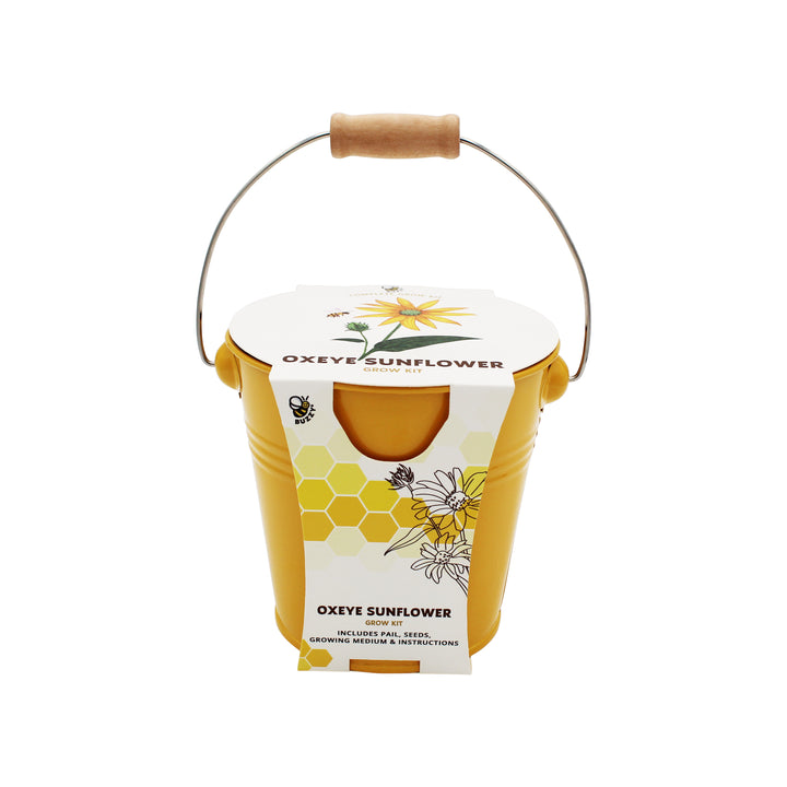 Pollinator Grow Kit | 2-Pack with Aster & Sunflower Seeds and Yellow Pails
