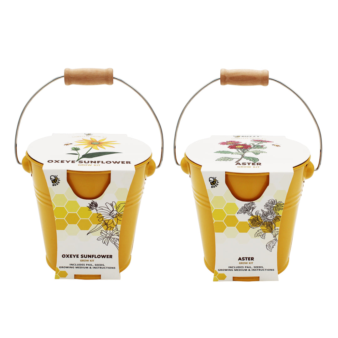 Pollinator Grow Kit | 2-Pack with Aster & Sunflower Seeds and Yellow Pails