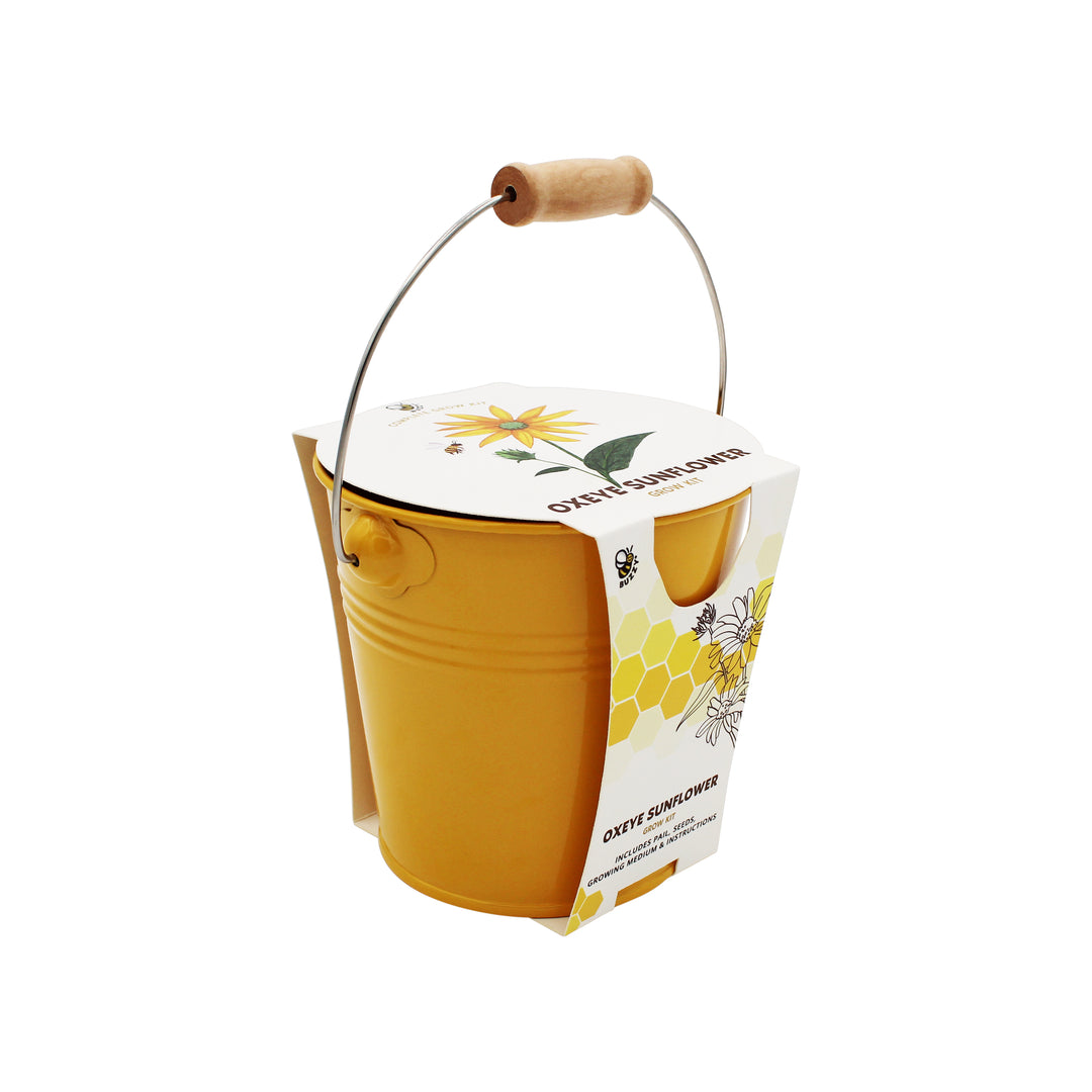 Pollinator Grow Kit | 2-Pack with Aster & Sunflower Seeds and Yellow Pails