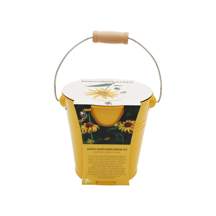 Pollinator Grow Kit | 2-Pack with Aster & Sunflower Seeds and Yellow Pails