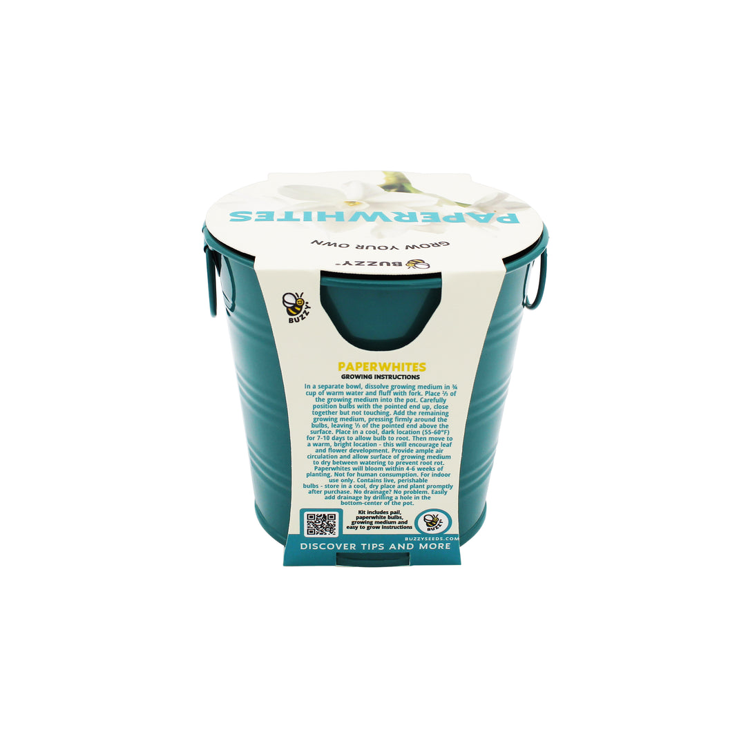 Holiday Paperwhites Grow Kit | Indoor Bulb Starter with Teal Pail