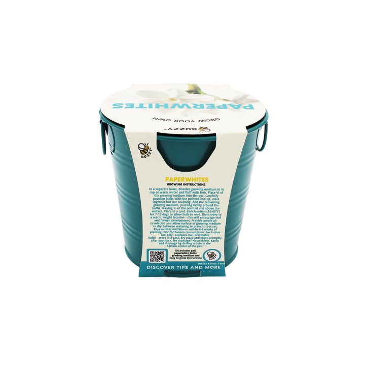 Holiday Paperwhites Grow Kit | Indoor Bulb Starter with Teal Pail