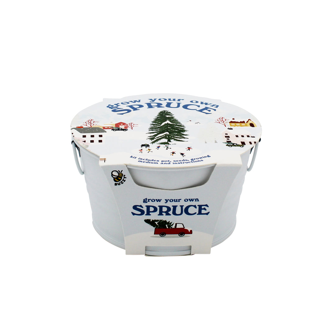 Grow Your Own Christmas Tree Kit | Spruce Seed Starter in White Basin