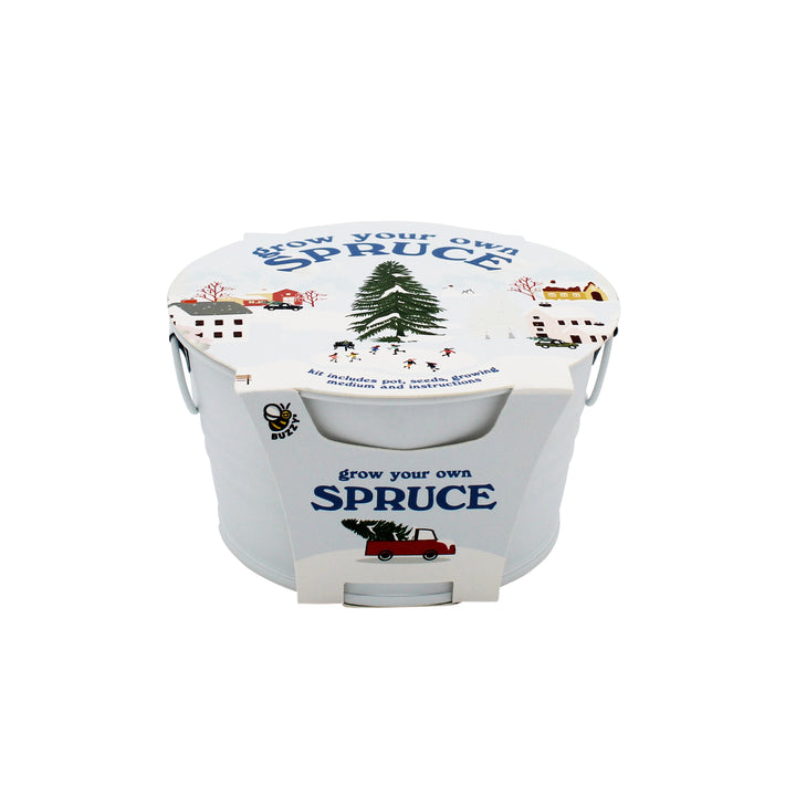 Grow Your Own Christmas Tree Kit | Spruce Seed Starter in White Basin