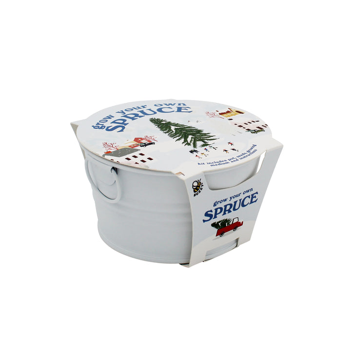 Grow Your Own Christmas Tree Kit | Spruce Seed Starter in White Basin