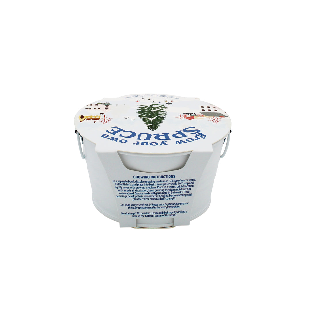 Grow Your Own Christmas Tree Kit | Spruce Seed Starter in White Basin