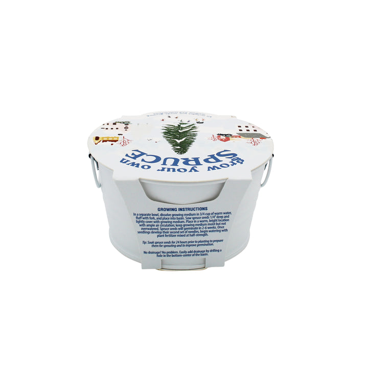 Grow Your Own Christmas Tree Kit | Spruce Seed Starter in White Basin