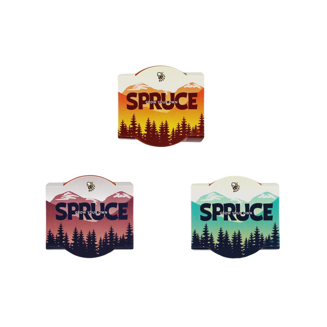 Holiday Spruce Tree Grow Kit | 12-Pack with Mini Terracotta Pots & Seeds