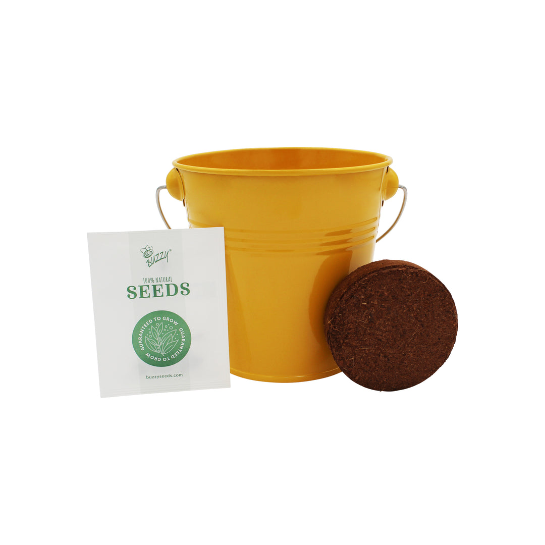 Pollinator Grow Kit | 2-Pack with Aster & Sunflower Seeds and Yellow Pails