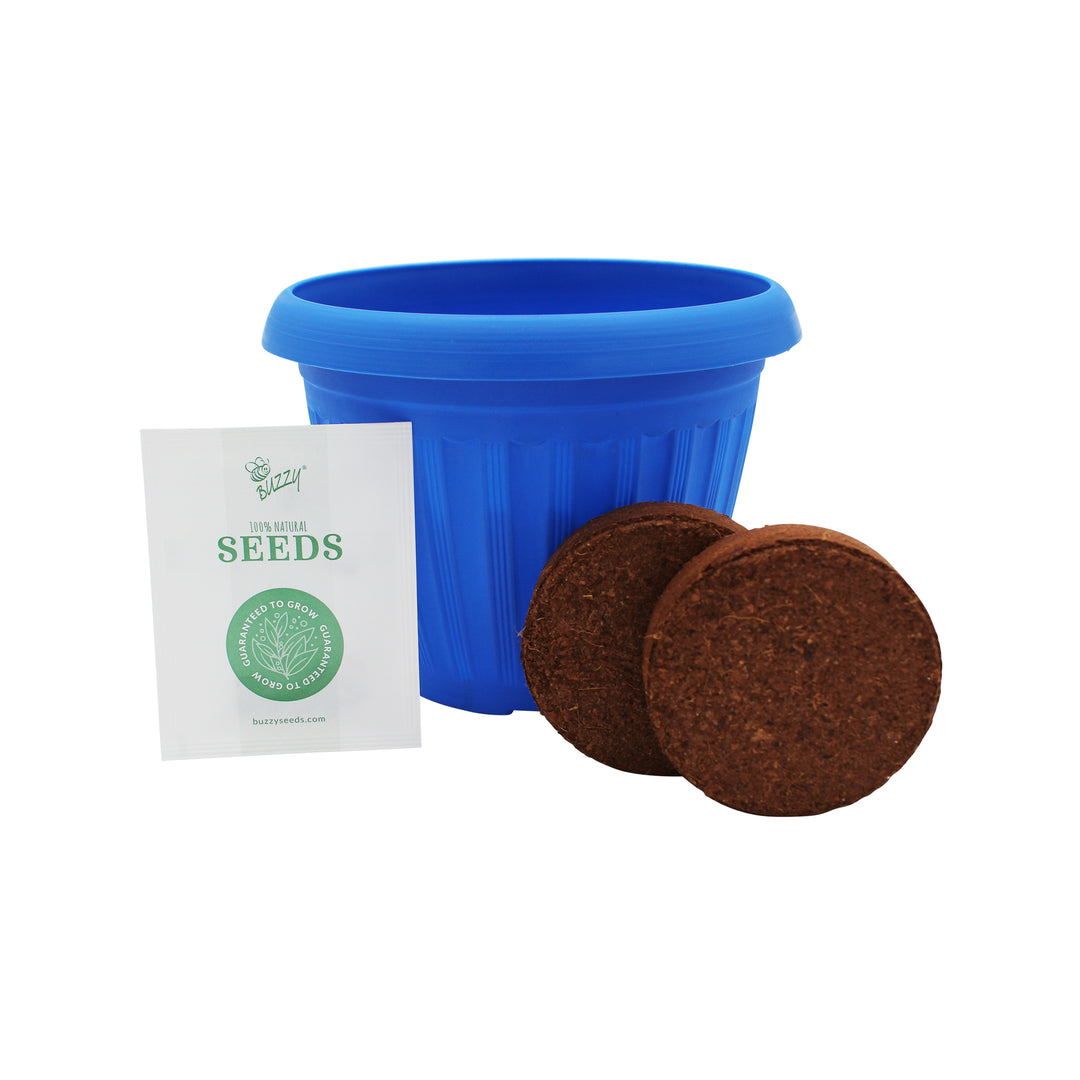 Chaos Garden Flower Grow Kit | 3-Pack – Butterfly, Bee & Wildflower Seeds