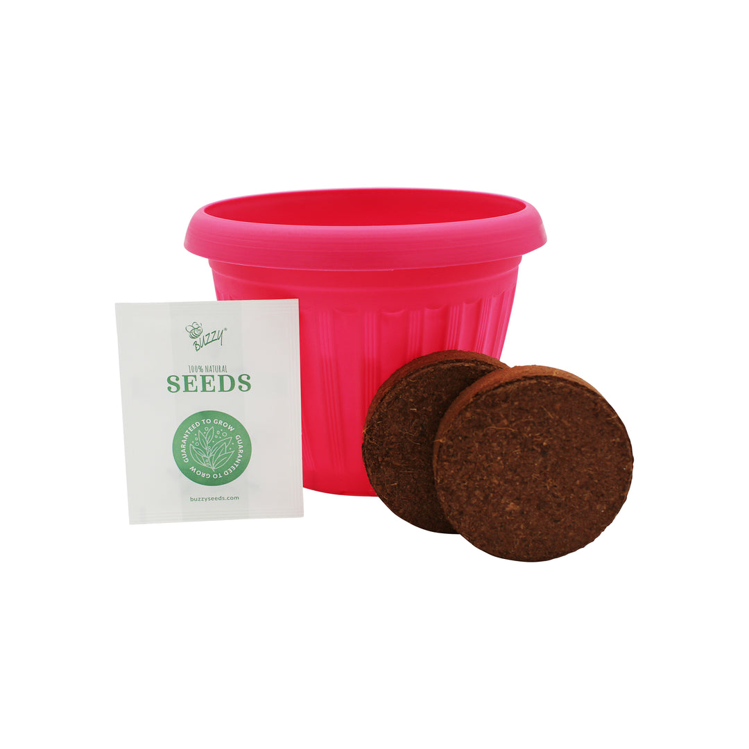 Chaos Garden Flower Grow Kit | 3-Pack – Butterfly, Bee & Wildflower Seeds