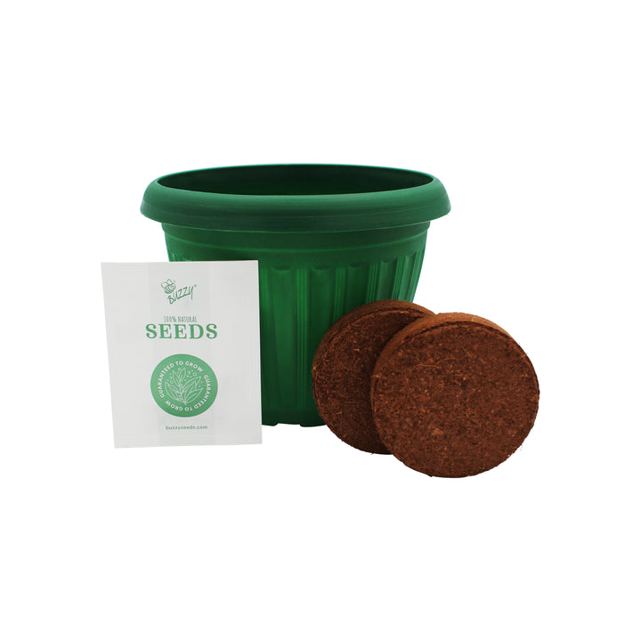 Chaos Garden Flower Grow Kit | 3-Pack – Butterfly, Bee & Wildflower Seeds