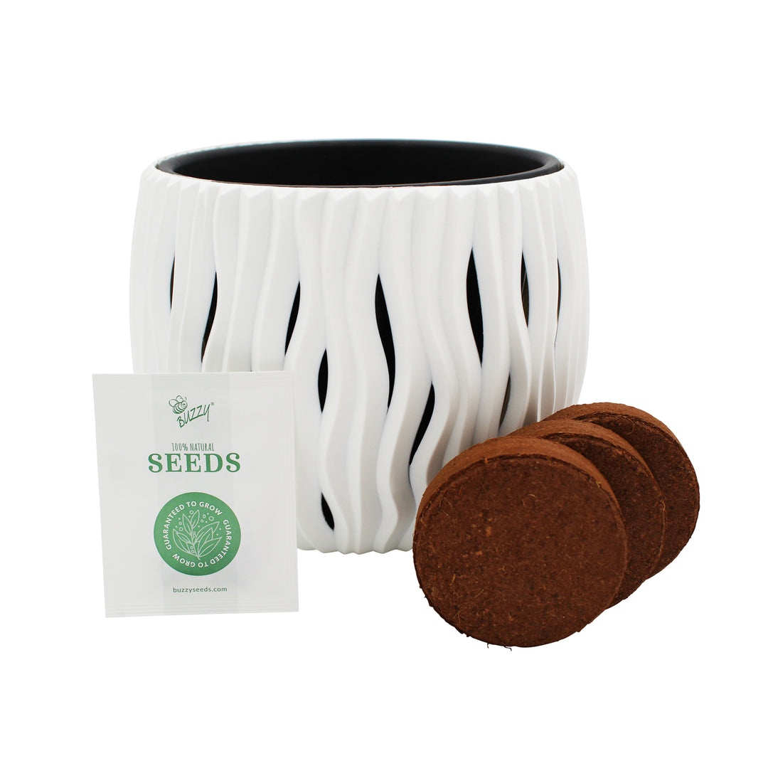 Primrose Flower Grow Kit | Indoor Seed Starter with Decorative White Wavy Pot