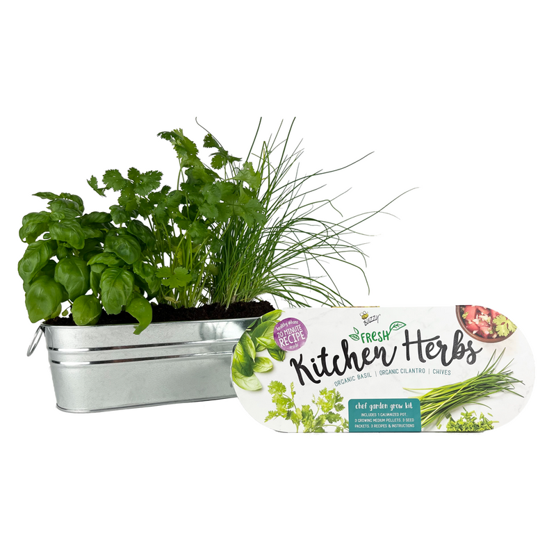 Kitchen Herbs Windowsill Grow Kit