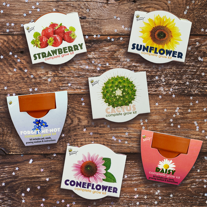 Classic Mini Terracotta Grow Pot | Assorted 12-pack
