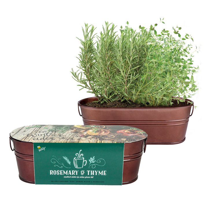 Festive Herb Grow Kit – Rosemary & Thyme for Indoor Windowsill Gardening