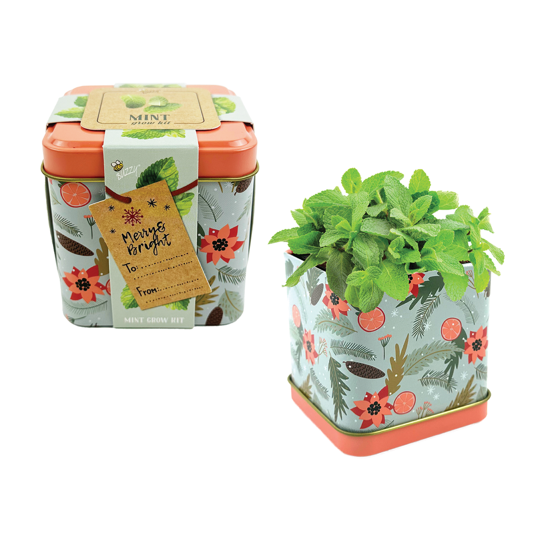 Holiday Mint Grow Kit | 2 Decorative Tins